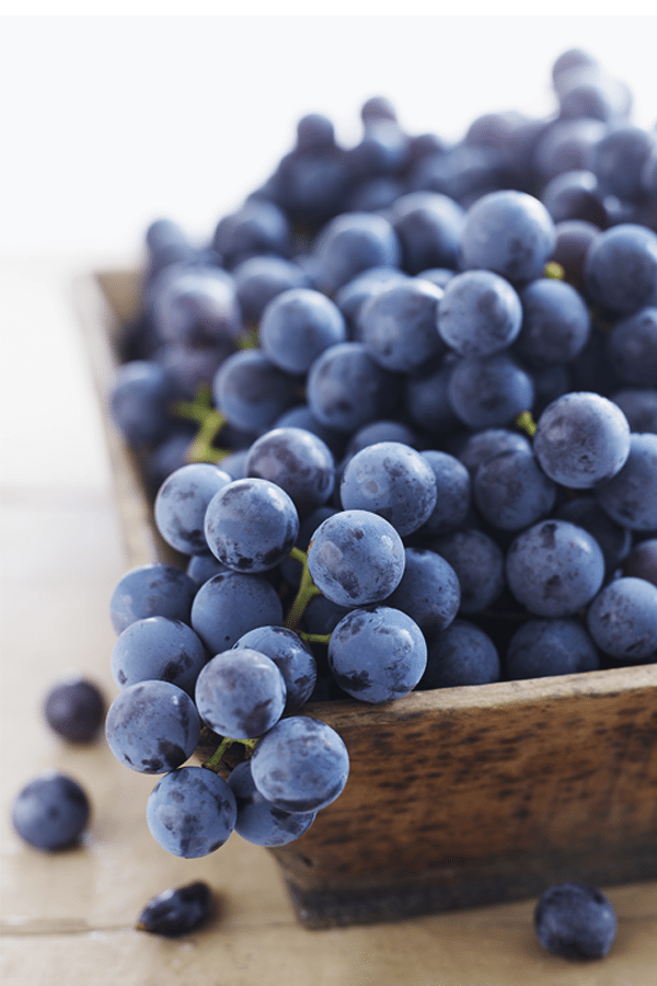 Healthy snacks in view